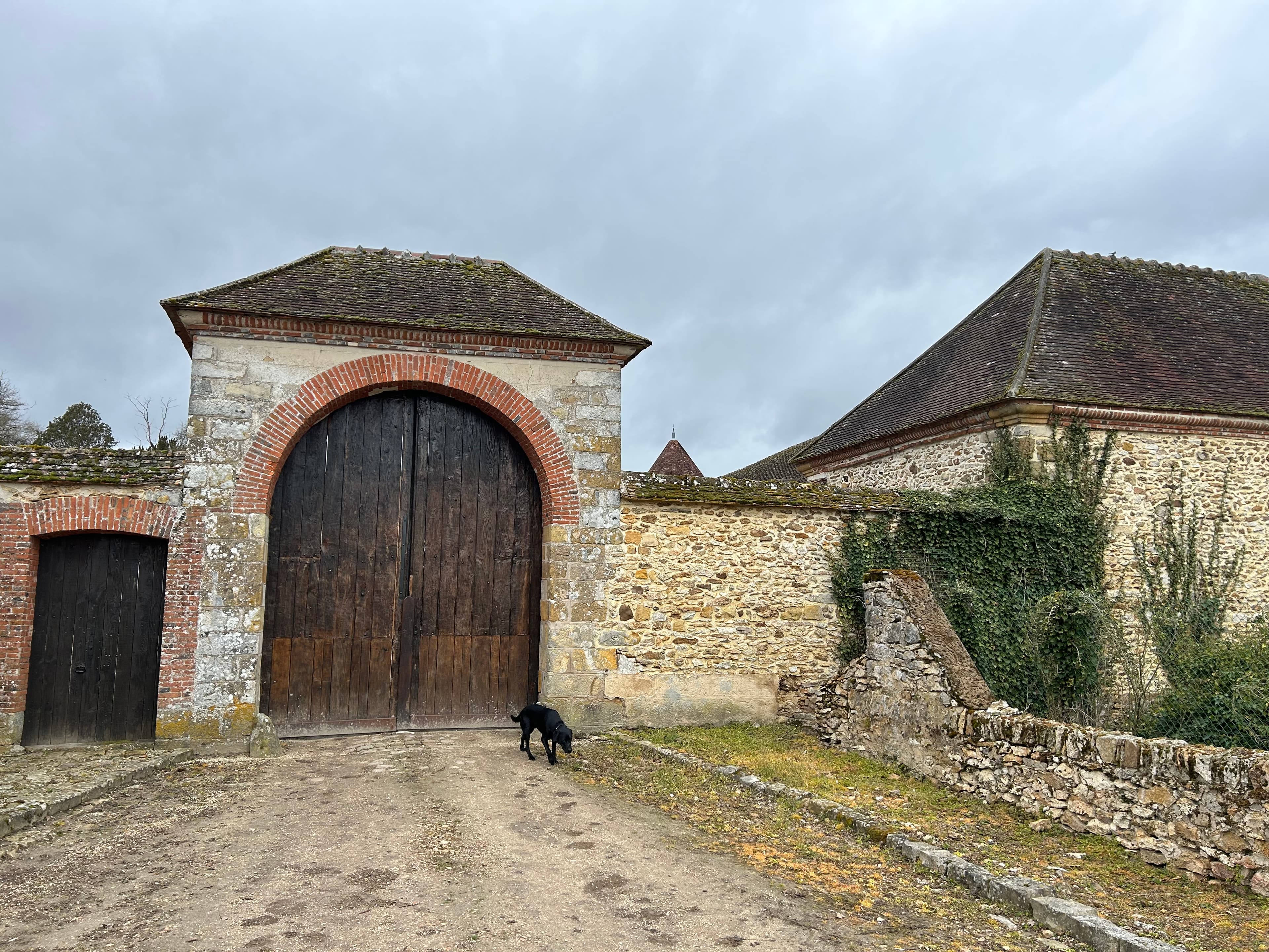 Bois de qualité