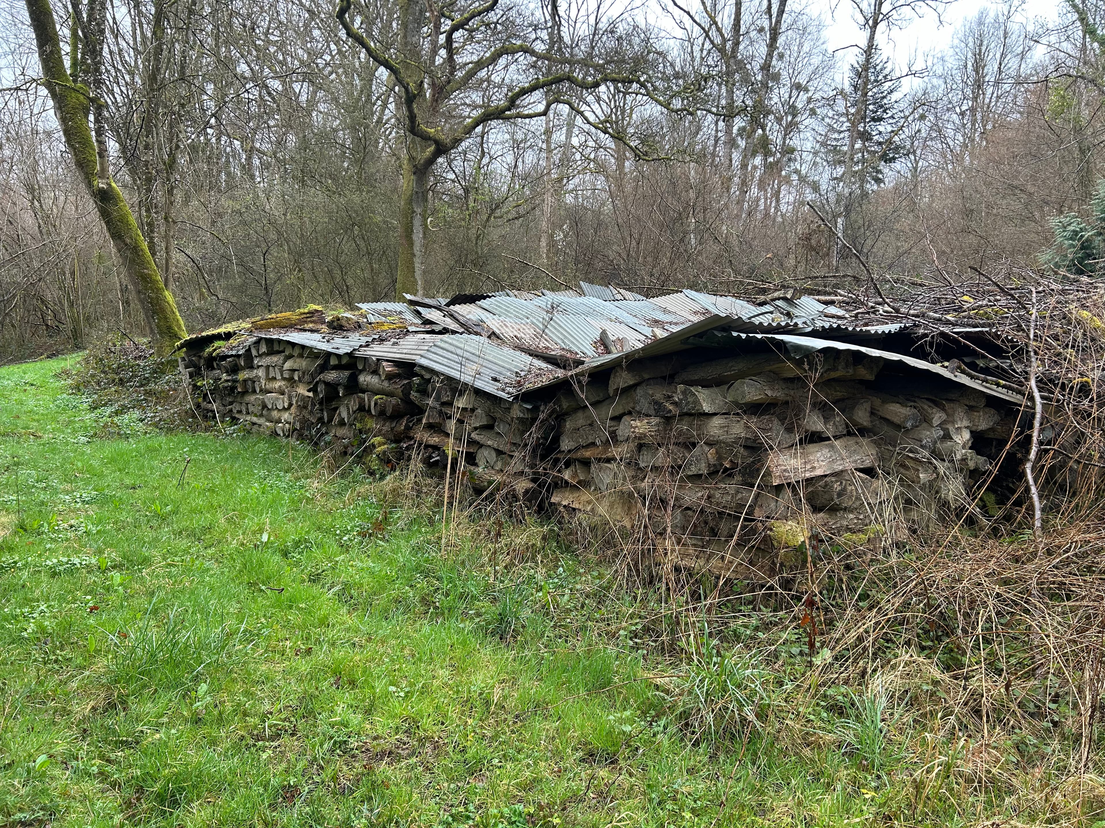 Bois de Chauffage Sec - Chêne / Frêne